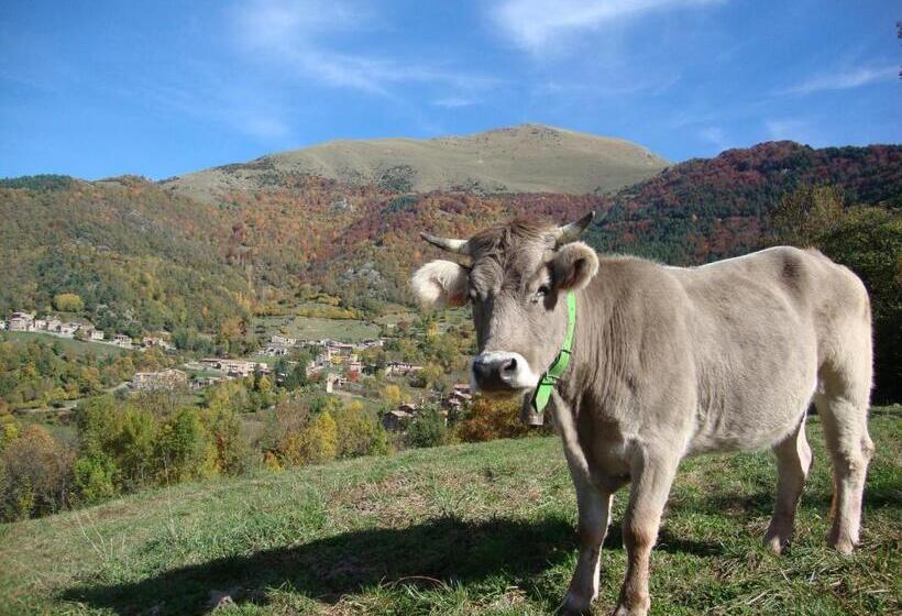 پانسیون Hostal Moliné