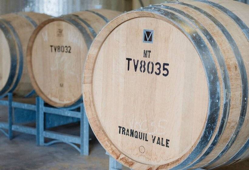 بنسيون Tranquil Vale Vineyard