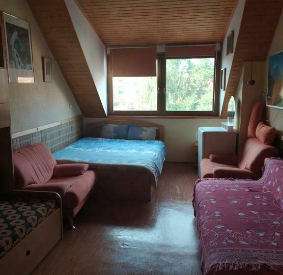 ユースホステル Penzion Slunce Nad Vinným Sklepem