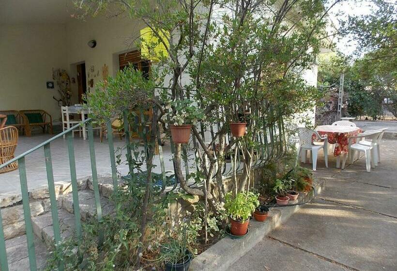 B&b Sette Fratelli