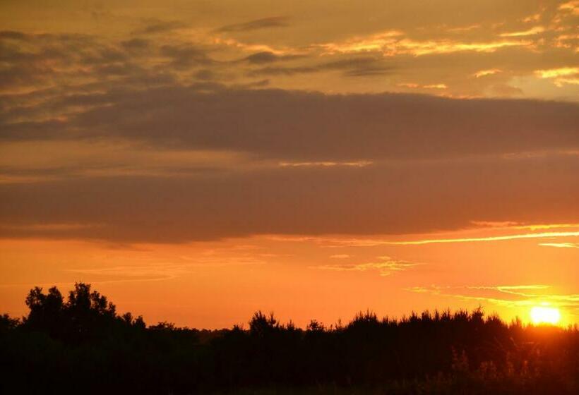 ベッドアンドブレックファースト Maison D Hôtes La Prévôté