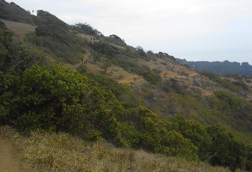 Cabañas Hostel Aquario Papudo