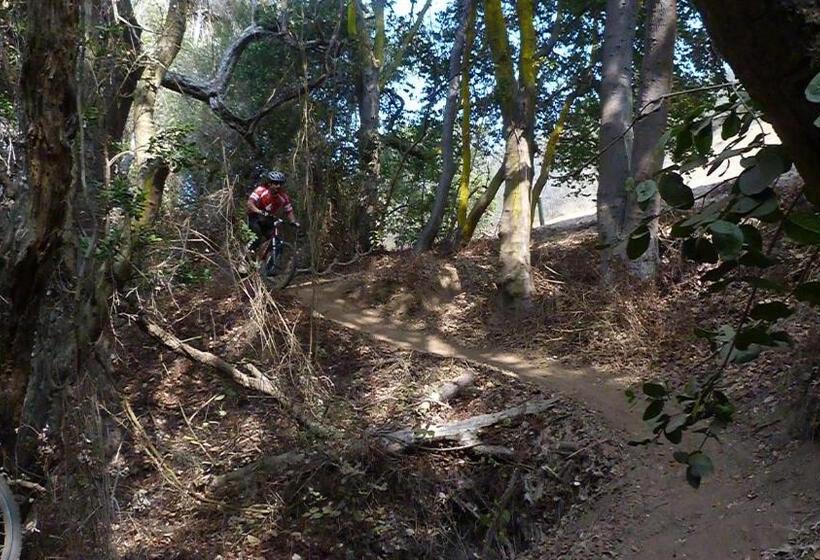 Cabañas Hostel Aquario Papudo