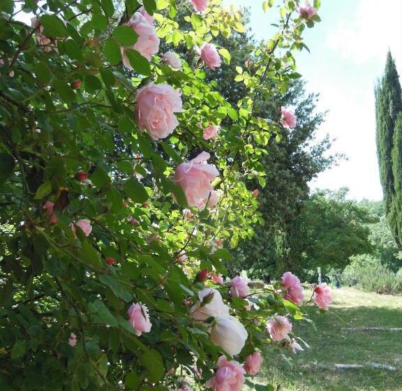 فندق La Fontaiola