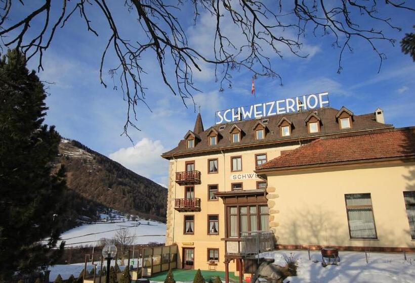 Отель Schweizerhof Sta Maria
