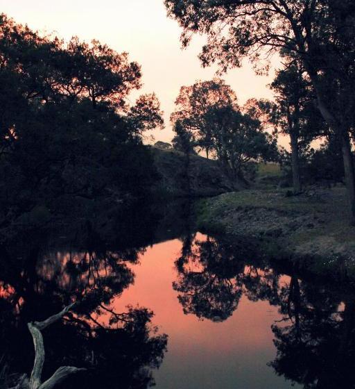 酒店 Waterfall Way Farmstay