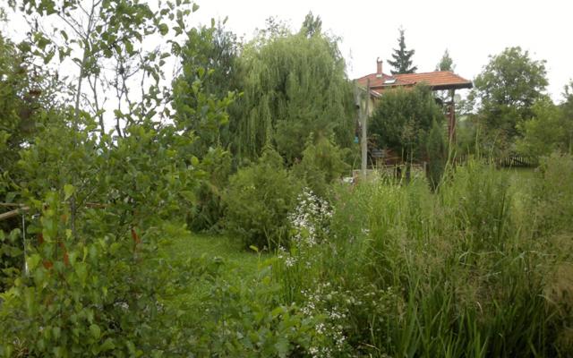 פנסיון Folyóka Vendégház