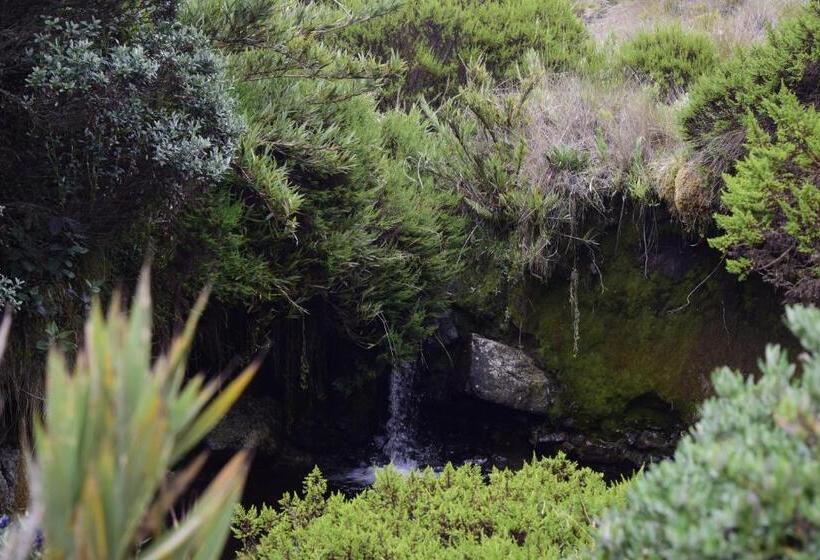 فندق صغير Finca La Tobita Eco