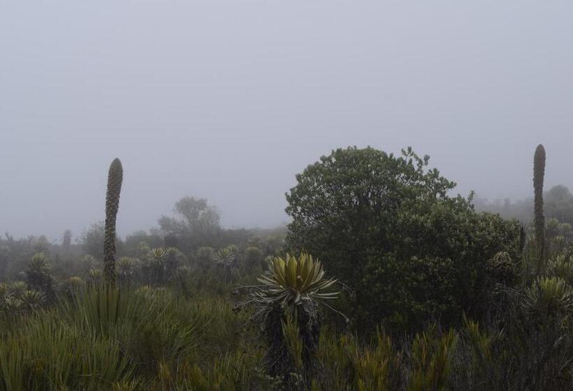فندق صغير Finca La Tobita Eco