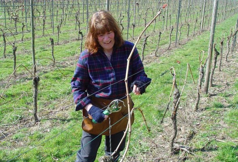 ベッドアンドブレックファースト Weingut U. Gästehaus Menten