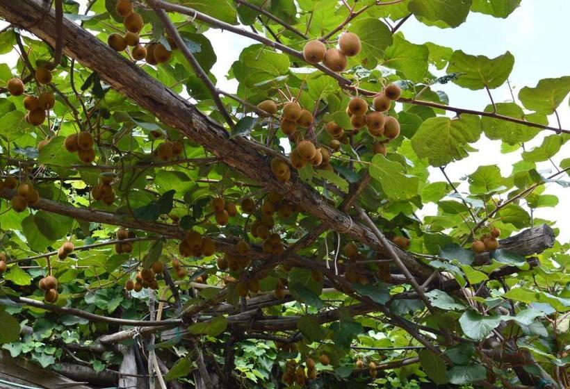 فندق Agriturismo E Turre