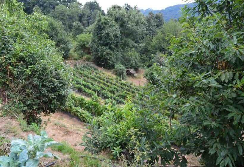 فندق Agriturismo E Turre