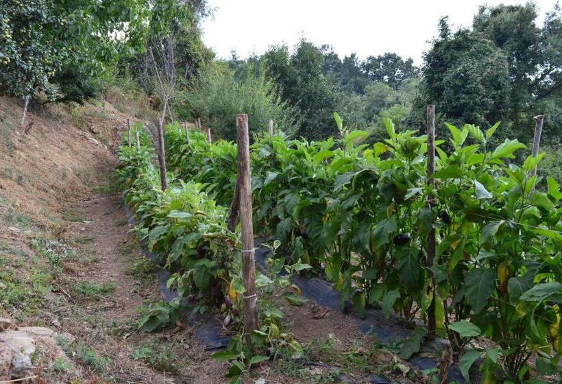 فندق Agriturismo E Turre