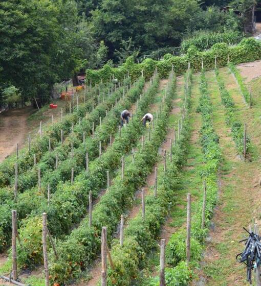 فندق Agriturismo E Turre