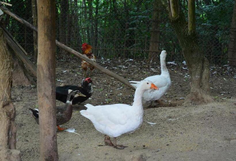 فندق Agriturismo E Turre