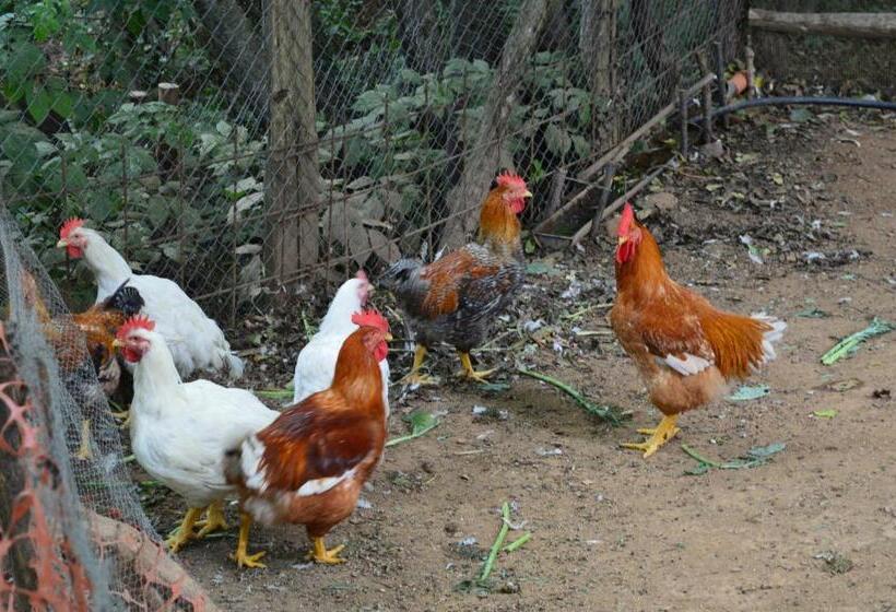 فندق Agriturismo E Turre