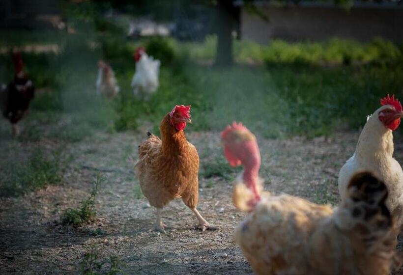 فندق Badia Agriturismo