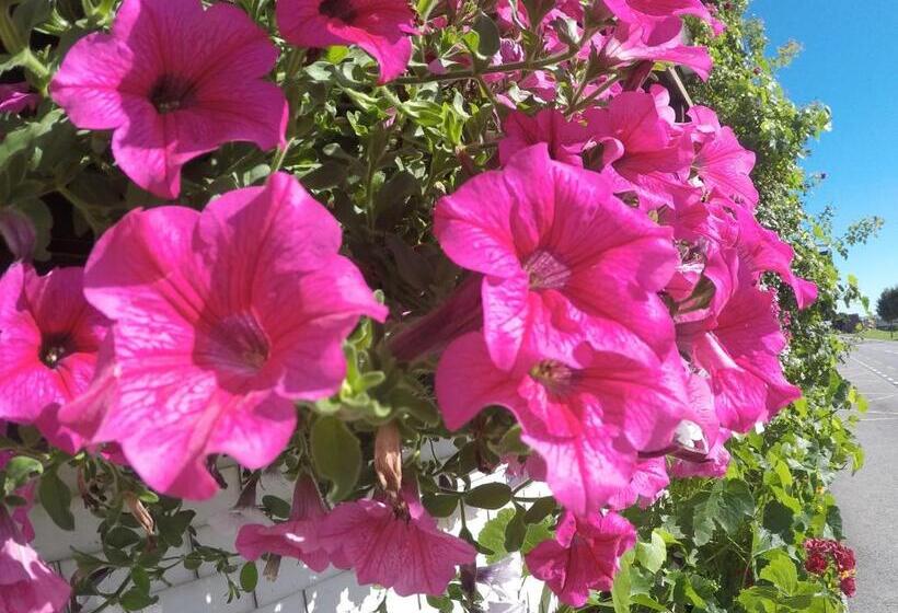 호텔 Garni Traube B&b