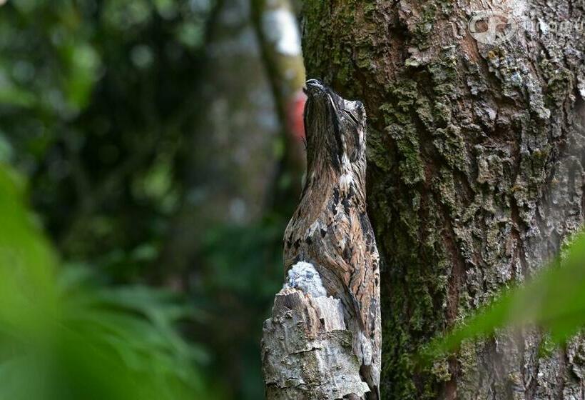 فندق Tinamu Birding