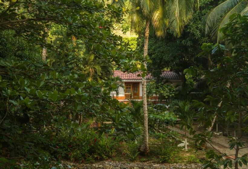 Manigua Tayrona Hostel