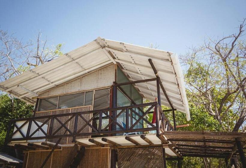 پانسیون El Hamaquero Hostal Econativo