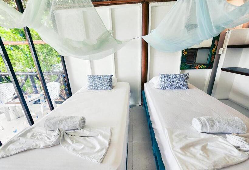 پانسیون El Hamaquero Hostal Econativo