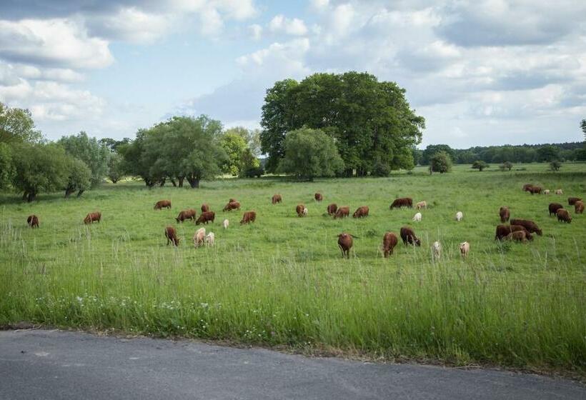 Пансион Landhaus Elbeflair Bei Dömitz