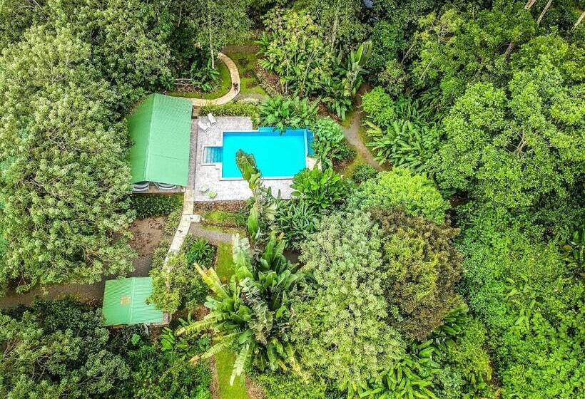 פנסיון Tropical Paradise Bungalows