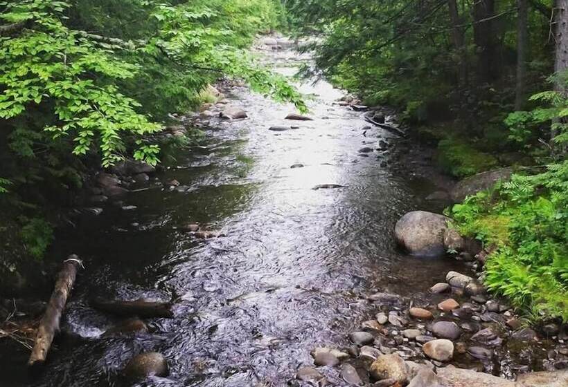 Spillover Motel And Inn