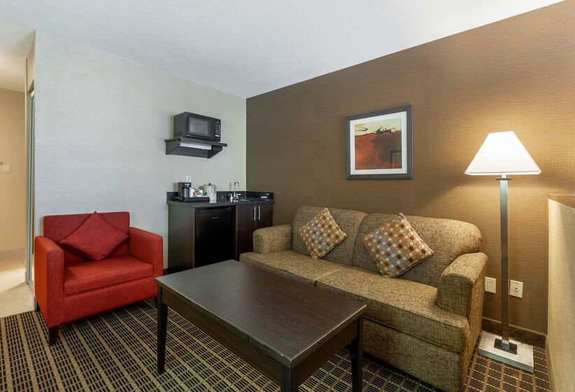 هتل Best Western Plus Burlington Inn & Suites