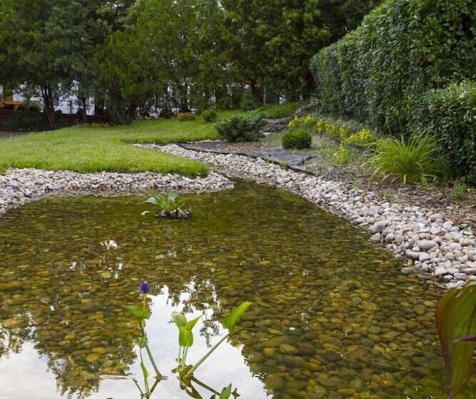 Fotos del hotel Classic:  25