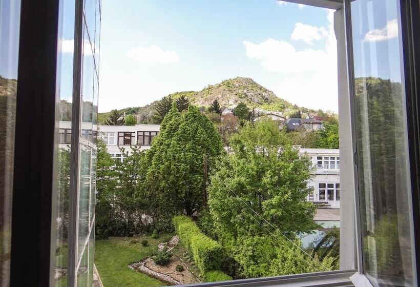 Fotos del hotel Classic:  22