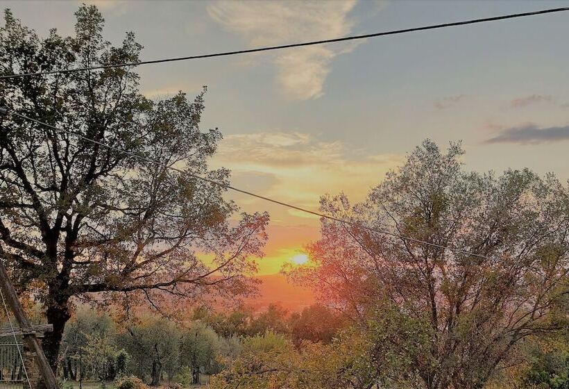 Fotos del hotel Fattoria Il Milione Agriturismo:  7