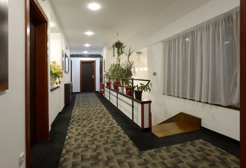 Fotos del hotel Grand:  18