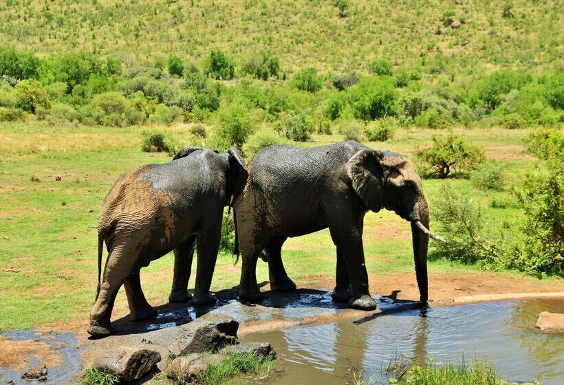 هتل Kwa Maritane Bush Lodge