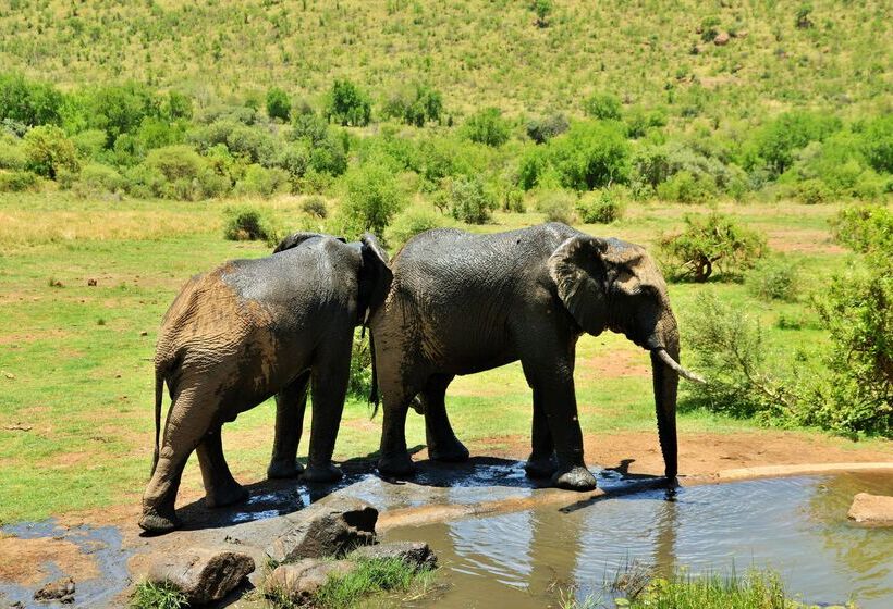 Hotel Kwa Maritane Bush Lodge