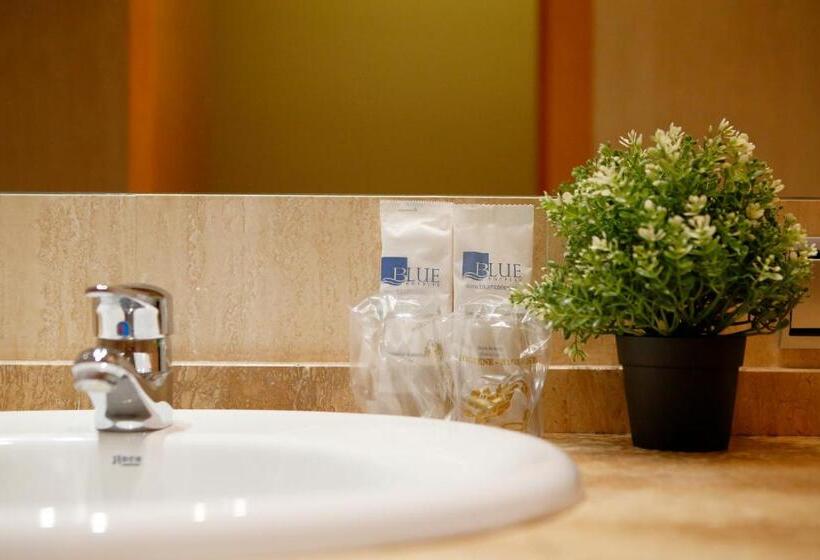Fotos del hotel Marqués, Blue Hoteles:  23