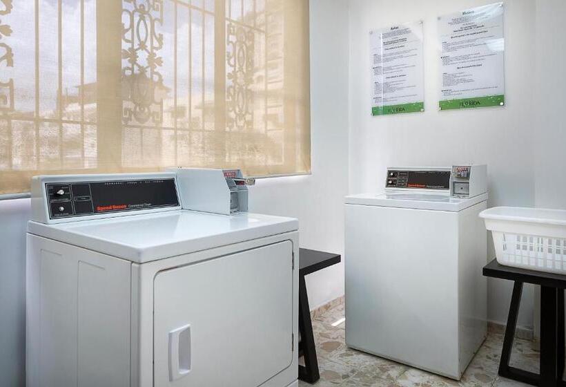 Fotos del hotel Plaza Florida Suites:  14