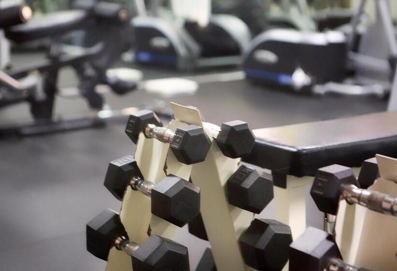 Fotos del hotel Plaza Florida Suites:  17