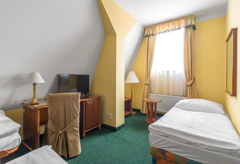 Fotos del hotel William:  12