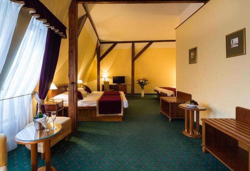 Fotos del hotel William:  15