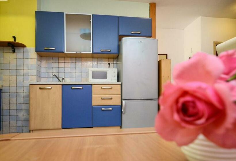 Apartment Nikola