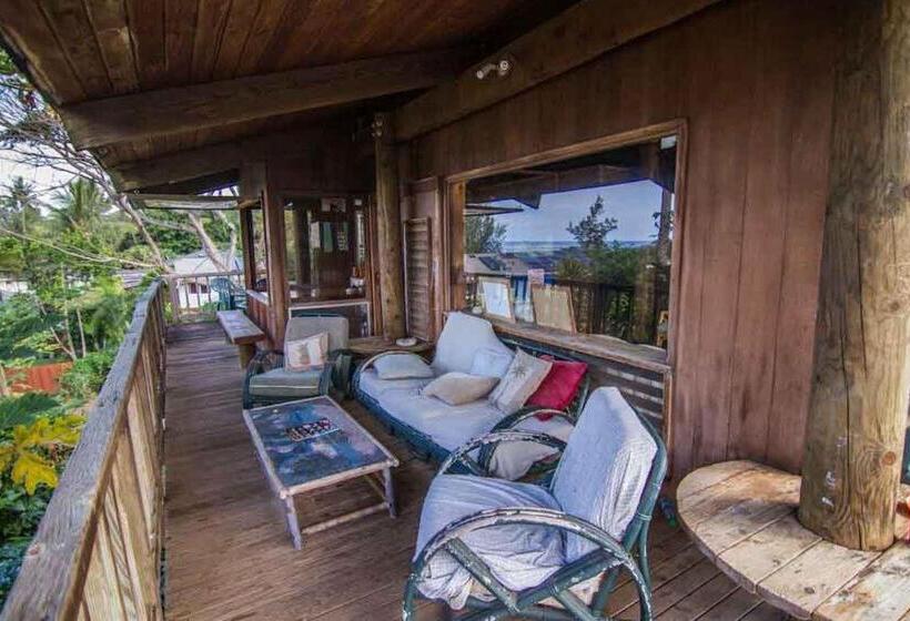 فندق صغير Backpackers Vacation Inn And Plantation Village