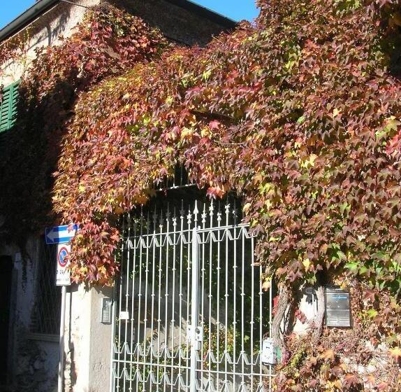 B&b Leon D'oro