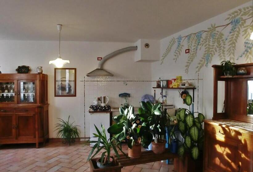 B&b Leon D'oro