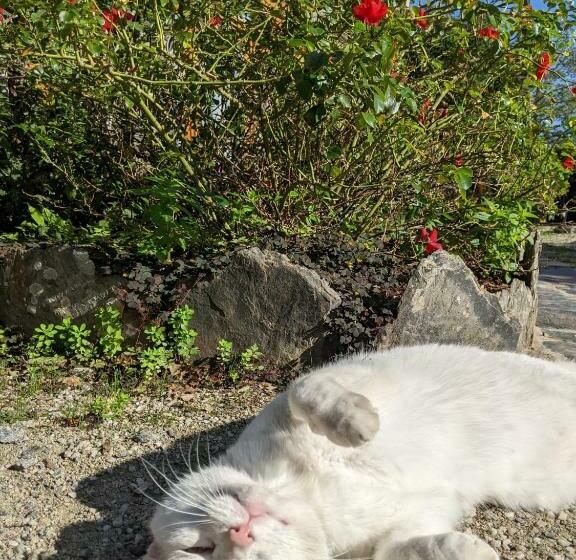 ベッドアンドブレックファースト Chambre D Hôtes Saint Jacob Relais De Chasse Du Xviii Siècle