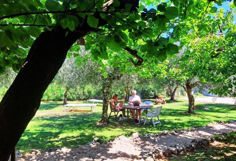 مبيت وإفطار Don Federico Country Inn