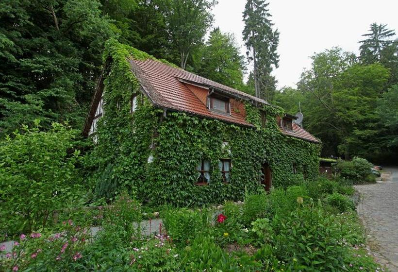 Отель Boltenmühle