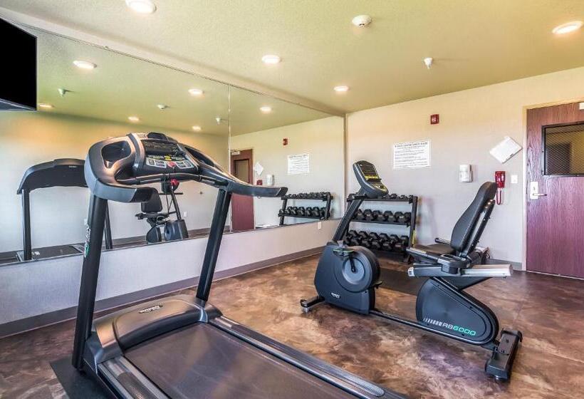 فندق Cobblestone Inn & Suites  Lakin