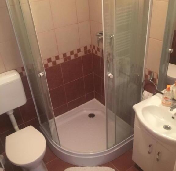 펜션 Aranyló Vendégház